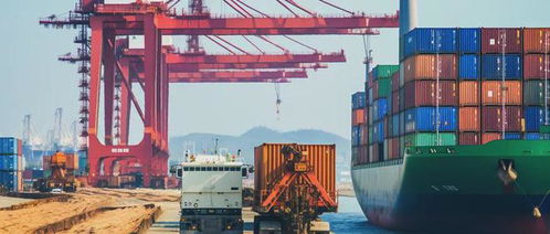 寧波貨代亂象叢生，如何找到可信賴的貨運代理