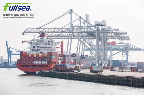 貨代人如何打造專業(yè)人設 打造信任與價值的貨運代理形象